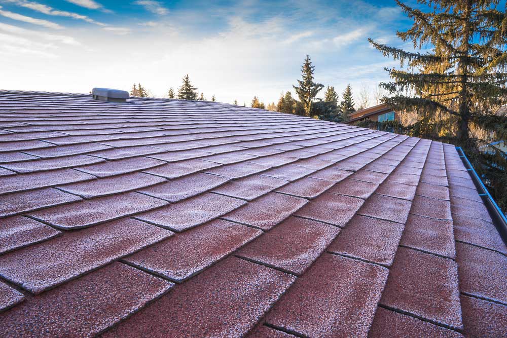 Colorado Home Inspector - Chief Home Inspection - Roof